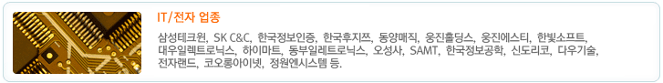 IT/전자 업종