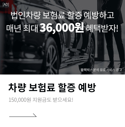 인포바인 블랙박스